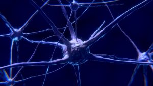 Az idegrendszert érintő krónikus betegségek hatékonyabb kezelését szolgálja három magyar intézmény kutatási programja