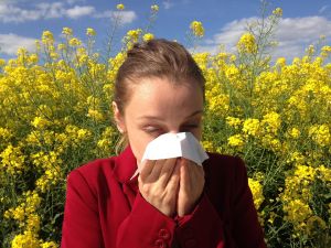 Tetőzik a pollenszezon