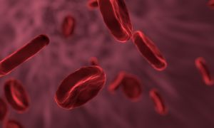 Új vértisztító technológiával gyógyítanák a leukémiát