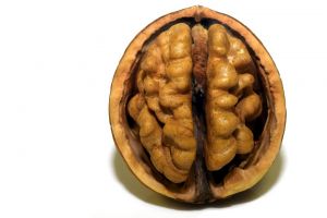 Egyes agysérülések növelhetik a demencia kockázatát